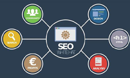 坂田网站SEO 优化  推广